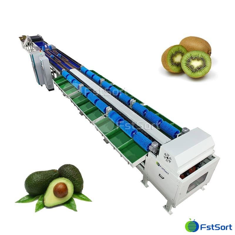 images/1762930789440avocado sorter.jpg